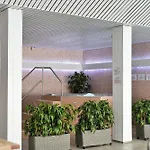 Wellness Orlik