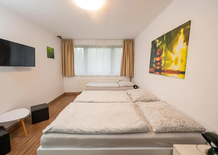 Wellness Orlik *