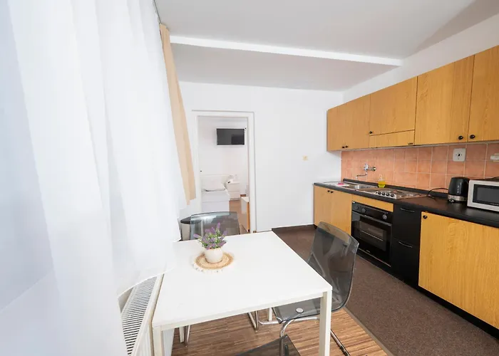 Wellness Orlik Ξενοδοχείο *